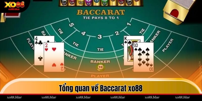 Tổng quan về Baccarat xo88