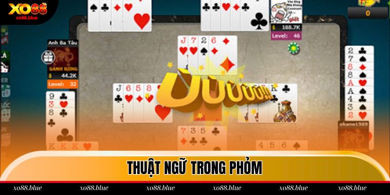 Thuật ngữ trong Tả lá Xo88