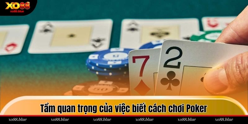 Tầm quan trọng của việc biết cách chơi Poker trước khi bắt đầu trải nghiệm