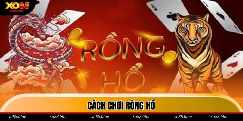 Cách chơi Rồng Hổ cơ bản cho hội viên Xo88