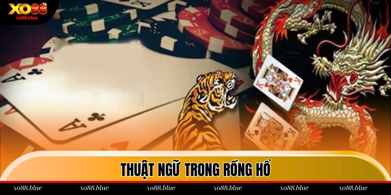 Những thuật ngữ thường thấy trong Dragon And Tiger Xo88