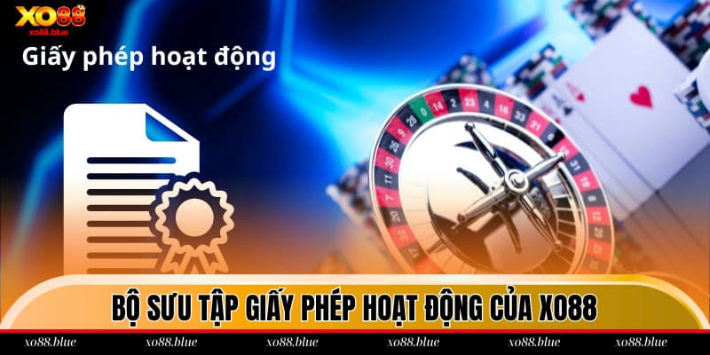 Bật mí các loại giấy phép chúng tôi đang có trong bộ sưu tập
