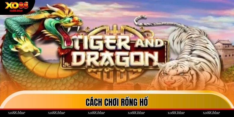 Hướng dẫn cách chơi Rồng Hổ cơ bản tại xo88