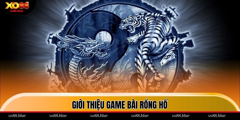 Giới thiệu về Dragon and Tiger tại xo88