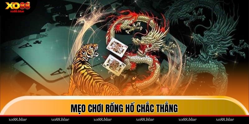 Mẹo chơi Rồng Hổ xo88 dễ thắng