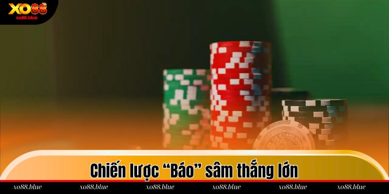 Chiến lược “Báo” sâm thắng lớn